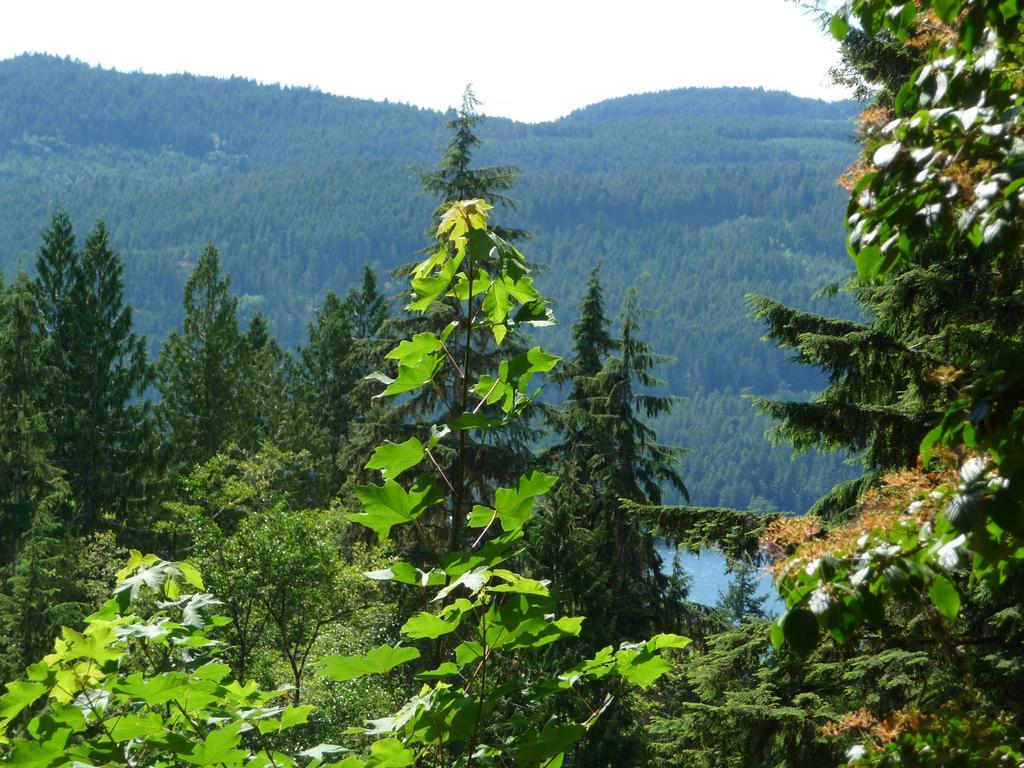 Davis Brook Retreat Bed and Breakfast Sechelt Buitenkant foto