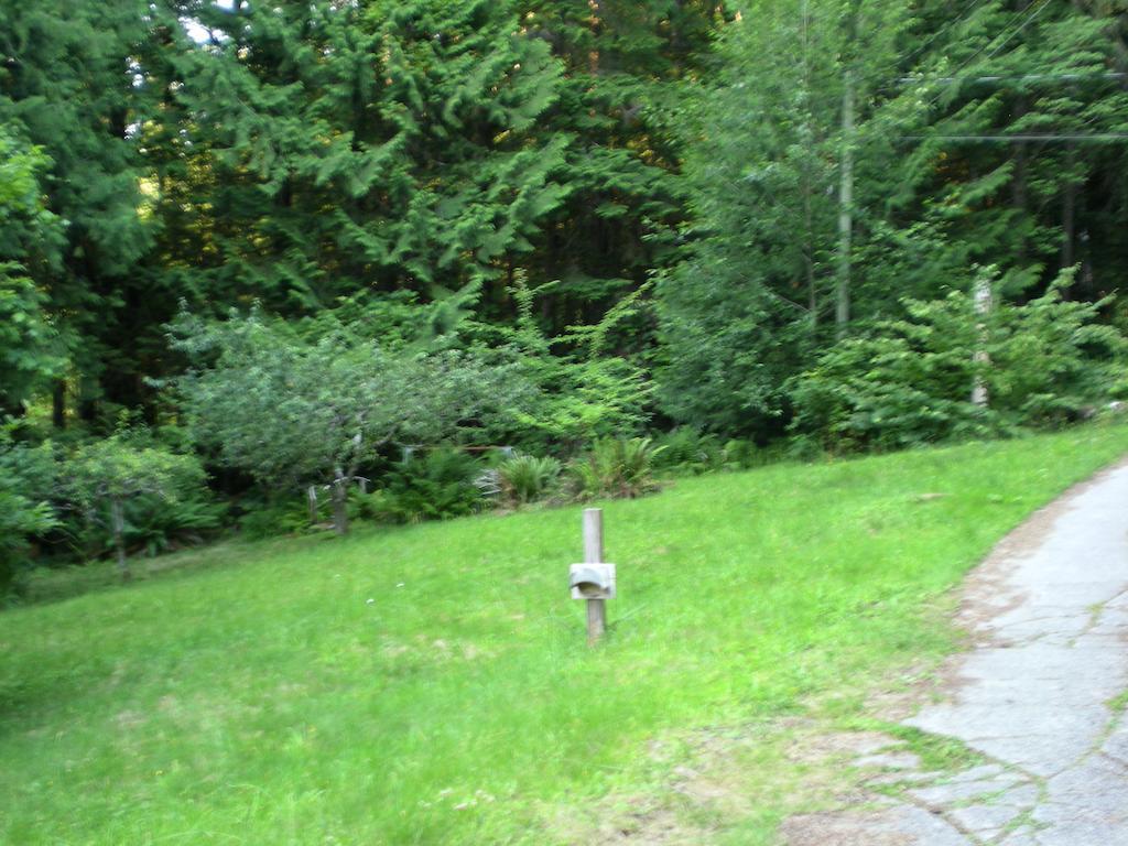 Davis Brook Retreat Bed and Breakfast Sechelt Buitenkant foto