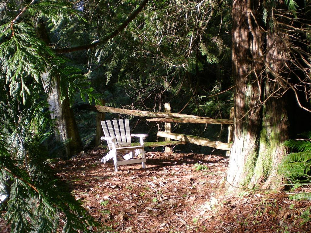 Davis Brook Retreat Bed and Breakfast Sechelt Buitenkant foto