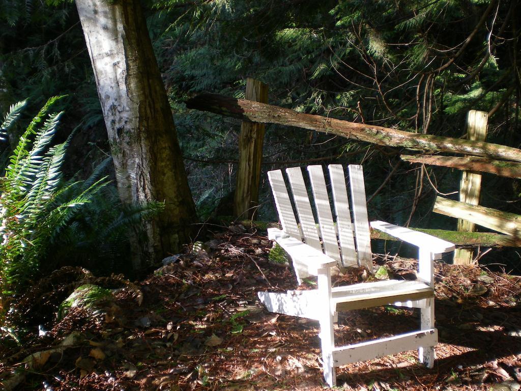 Davis Brook Retreat Bed and Breakfast Sechelt Buitenkant foto