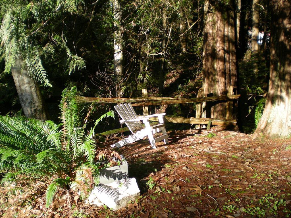 Davis Brook Retreat Bed and Breakfast Sechelt Buitenkant foto
