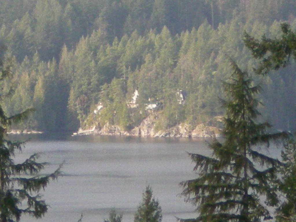 Davis Brook Retreat Bed and Breakfast Sechelt Buitenkant foto