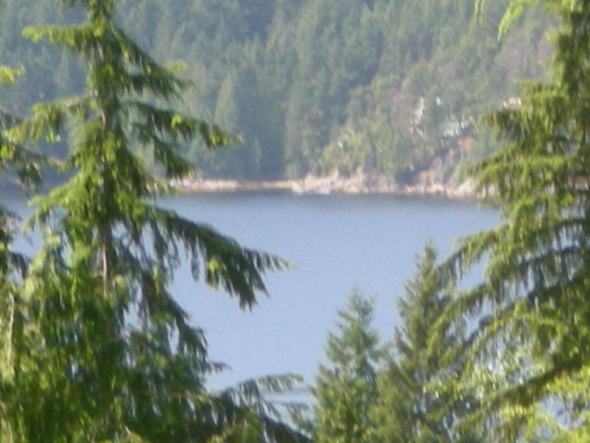Davis Brook Retreat Bed and Breakfast Sechelt Buitenkant foto