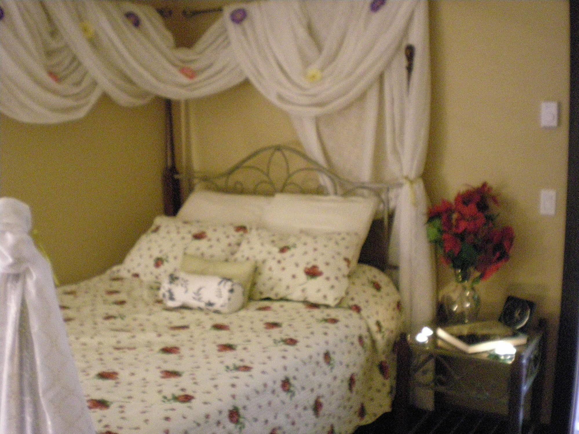 Davis Brook Retreat Bed and Breakfast Sechelt Buitenkant foto