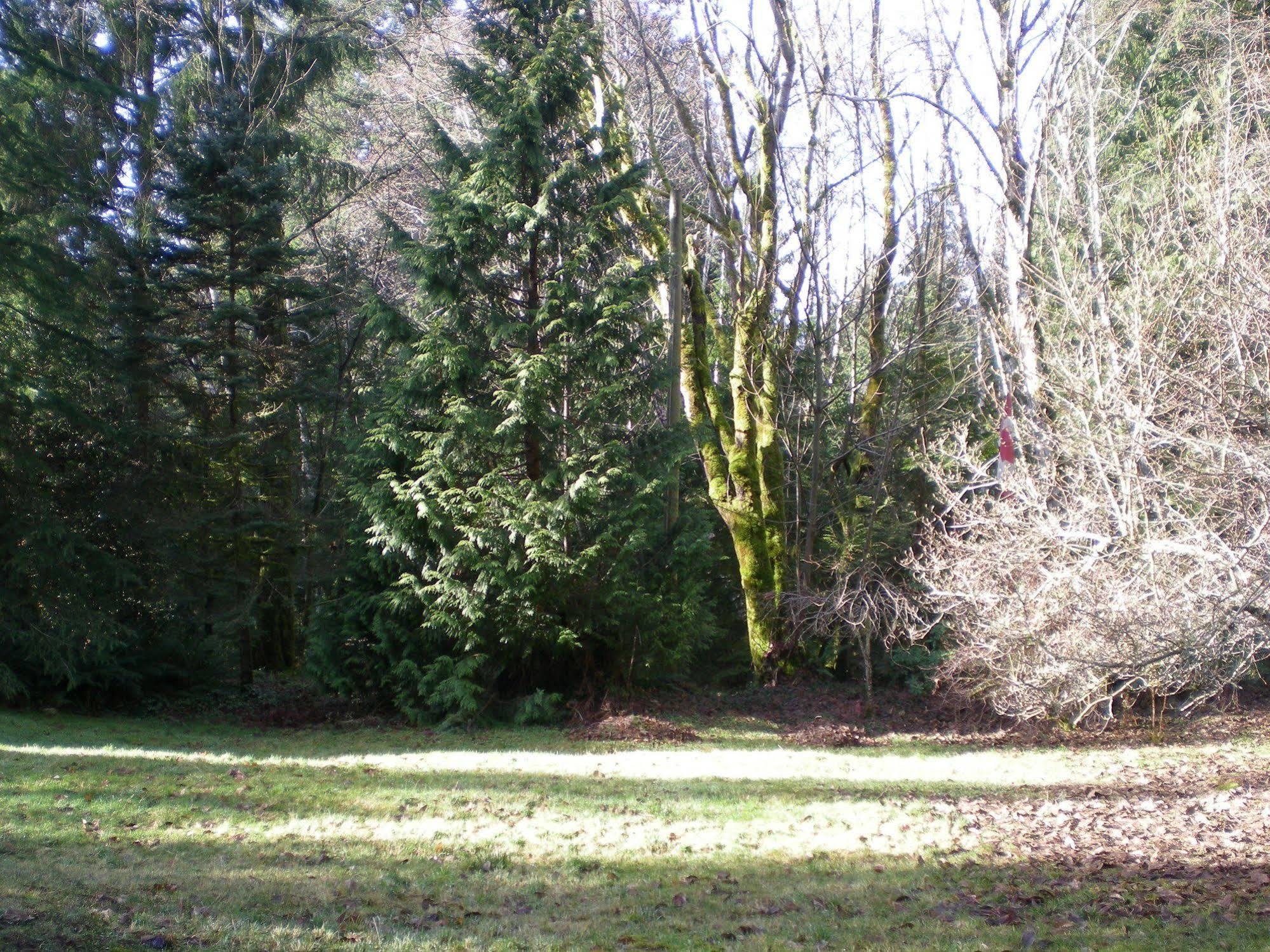 Davis Brook Retreat Bed and Breakfast Sechelt Buitenkant foto